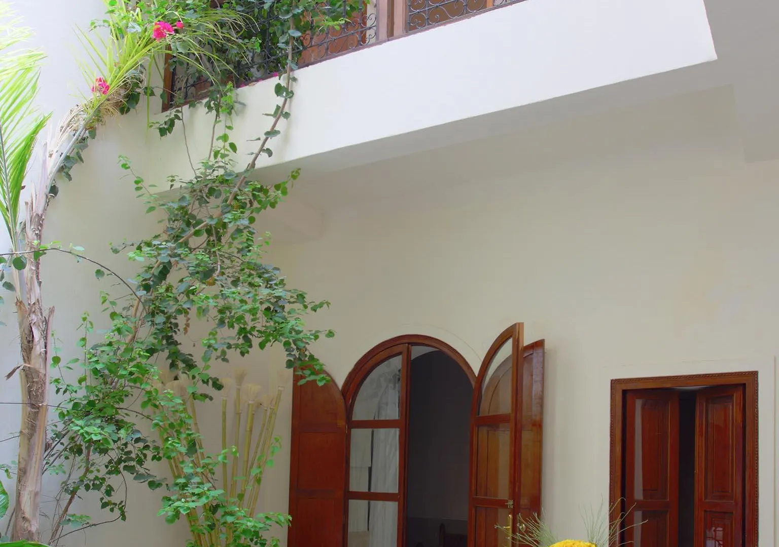*** Guest house Riad White Flowers Morocco