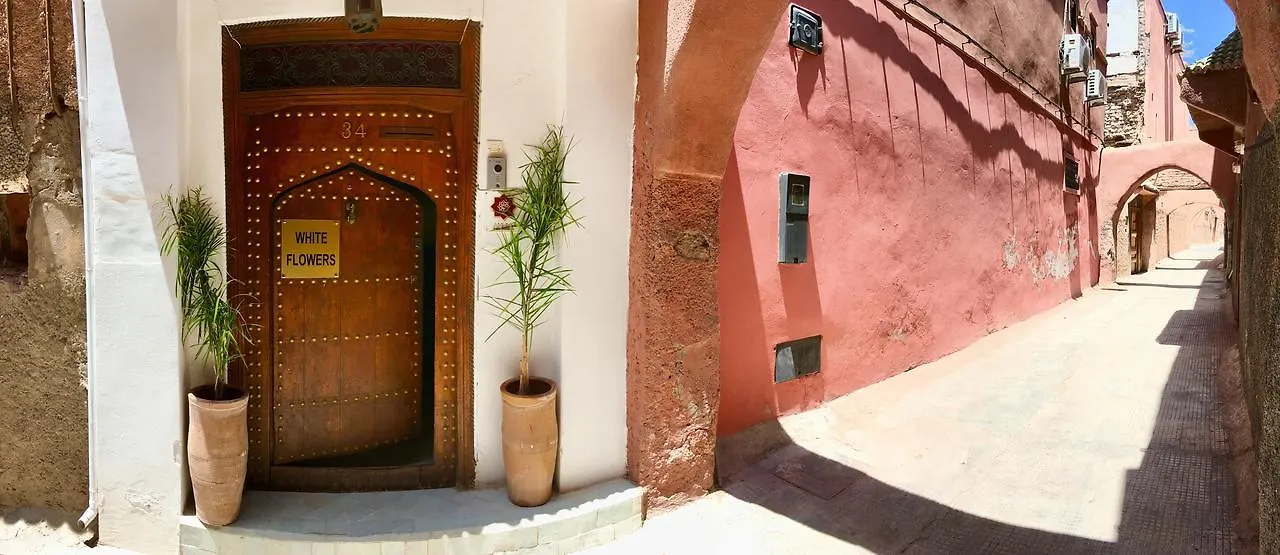 Guest house Riad White Flowers