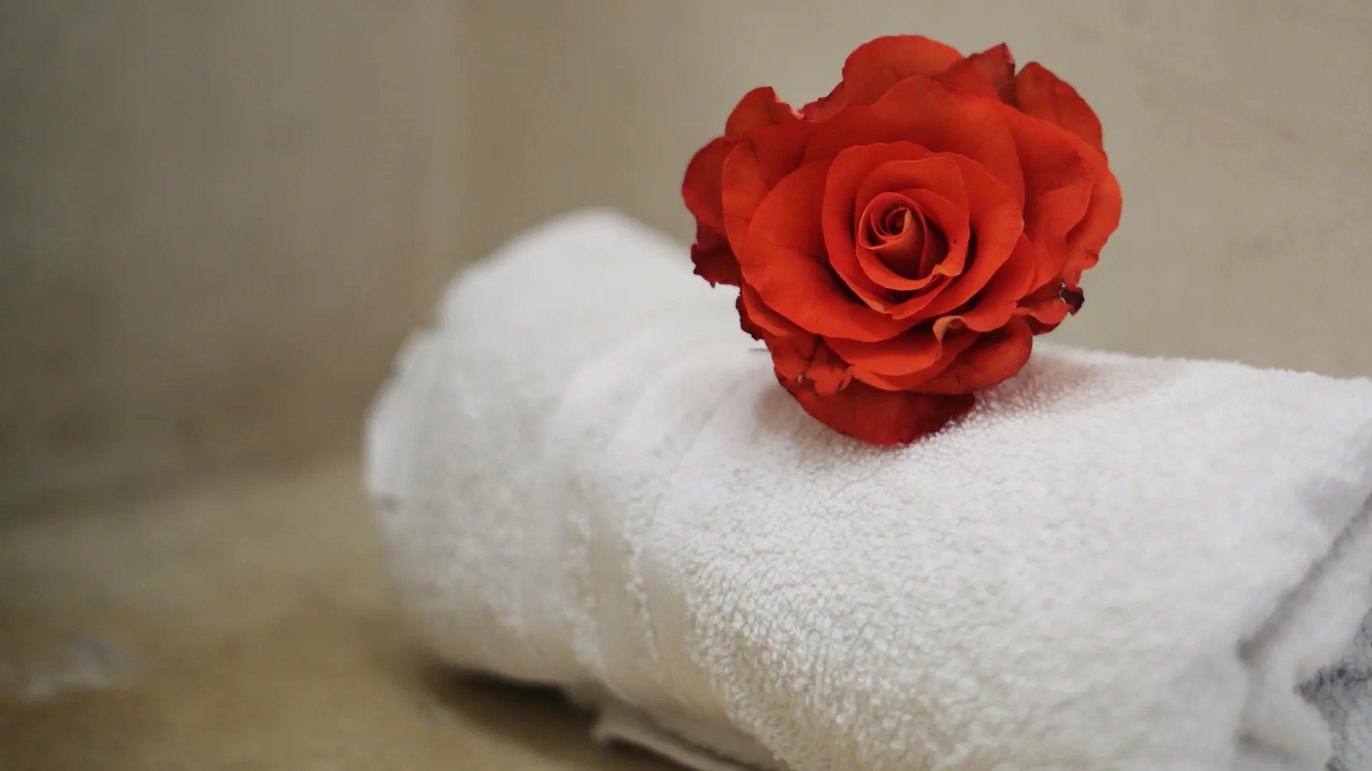 Guest house Riad White Flowers
