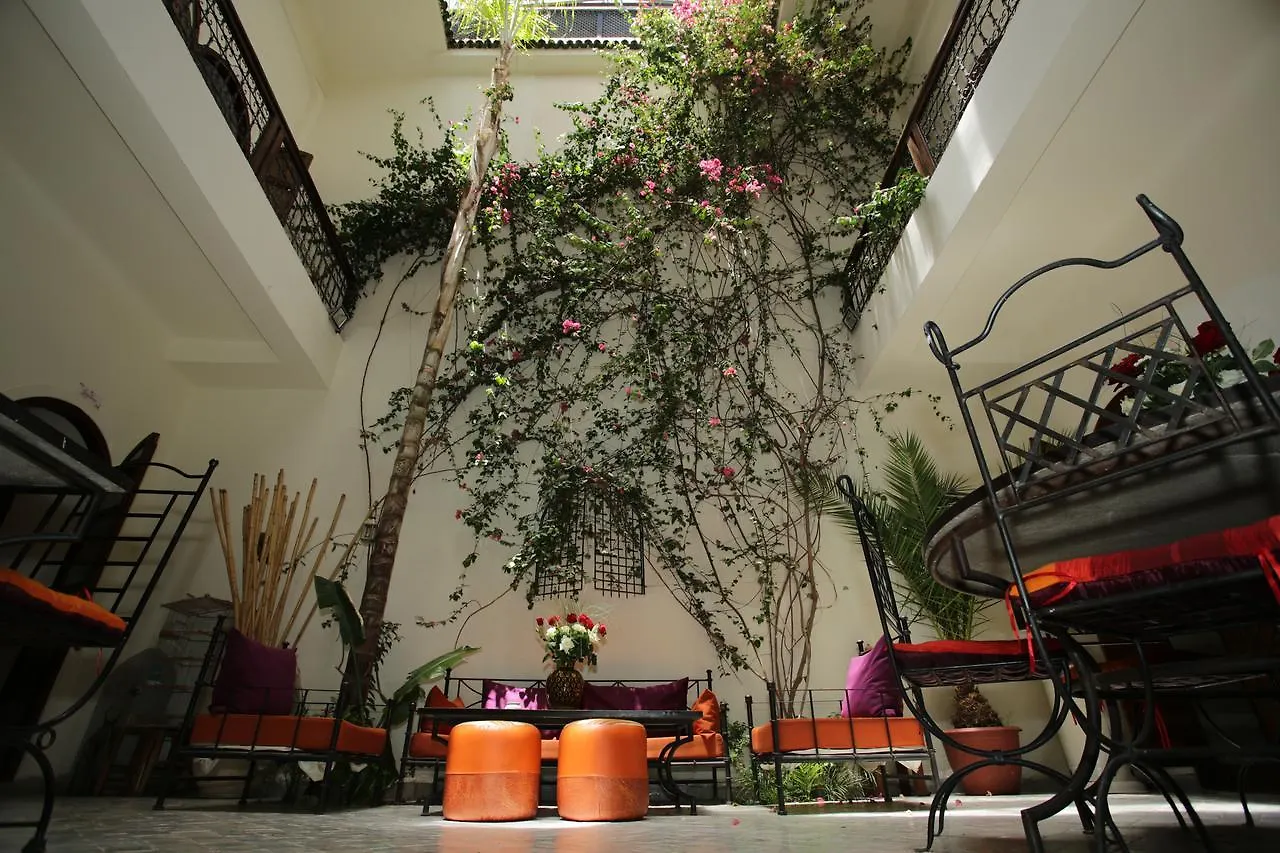 Riad White Flowers Morocco