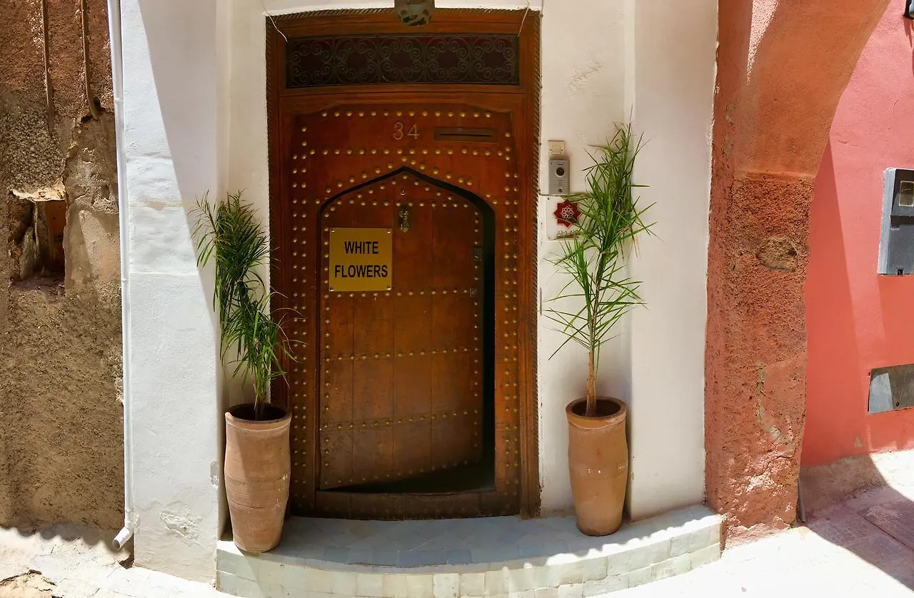 *** Guest house Riad White Flowers Morocco