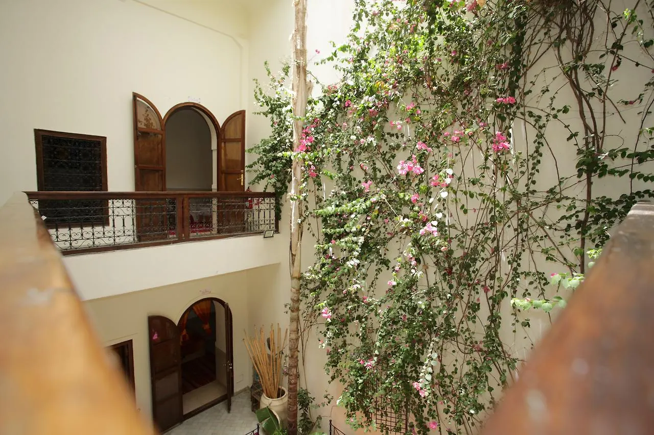 Riad White Flowers Guest house